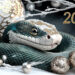 Cum va arăta 2025 pentru fiecare semn zodiacal în Anul Șarpelui de Lemn