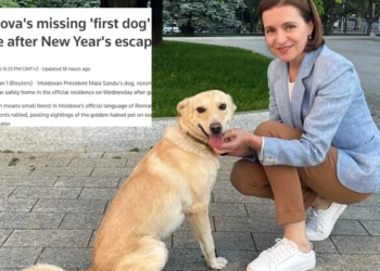 Codruț, câinele prezidențial, a fugit de Revelion și a ajuns în presa internațională