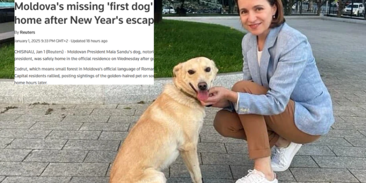Codruț, câinele prezidențial, a fugit de Revelion și a ajuns în presa internațională