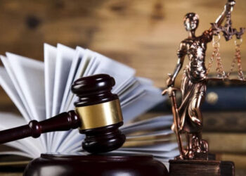 Dosar penal pentru furt de lemn: un șef de ocol silvic și un pădurar riscă închisoare