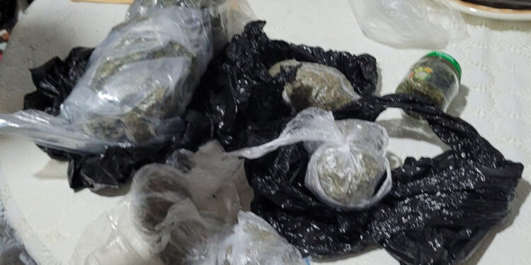 Marijuana de 250.000 lei confiscată la Comrat: Doi traficanți reținuți și plasati în arest