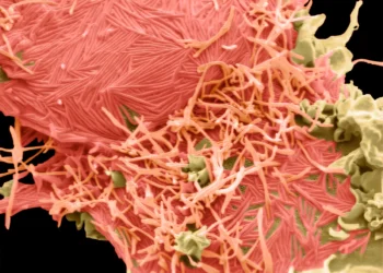 Infecțiile respiratorii cu HMPV în creștere global: Măsuri de protecție recomandate de ANSP