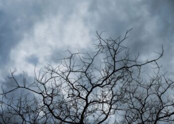 Cer predominant noros astăzi și vânt ușor: Minima termică va coborî sub minus 7 grade Celsius