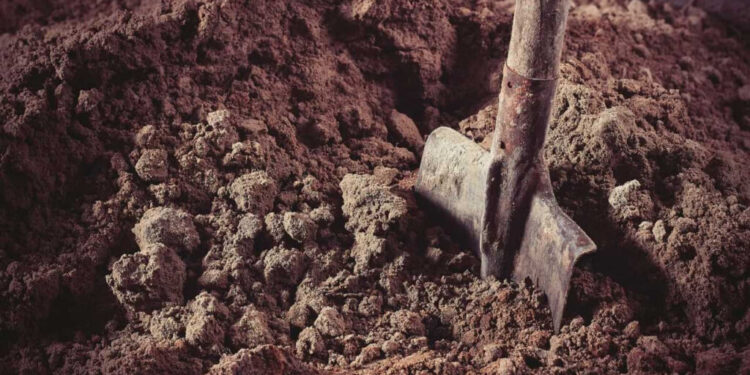 Locuitor din Călărași condamnat: Soția bătută și forțată să-și sape mormântul