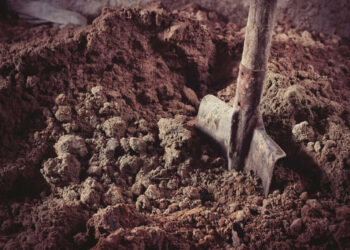 Locuitor din Călărași condamnat: Soția bătută și forțată să-și sape mormântul