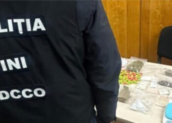 Grup de traficanți de droguri descoperit în Botanica: 1 milion de lei în substanțe ilegale confiscate