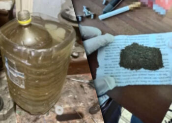 Percheziții la Taraclia: Droguri de 350.000 de lei ridicate de poliție