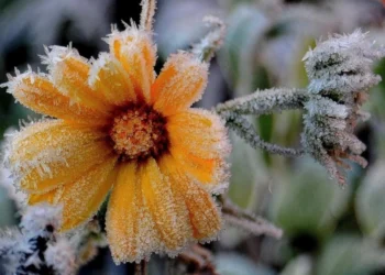 Prognoza meteo pentru 8 februarie