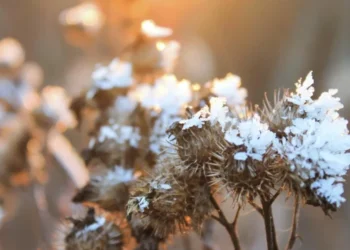 Prognoza meteo pentru 9 februarie