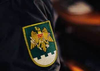 Carte de indentitate și permise de conducere contrafăcute, depistate de polițiștii de frontieră