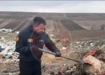 Dezastru ecologic într-un sat aproape de capitală: Tone de carne alterată aruncate la groapa de gunoi, punând în pericol mediul și sănătatea publică |VIDEO
