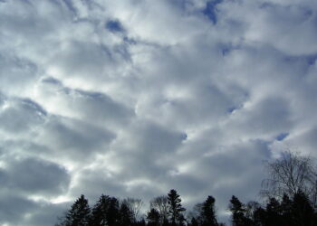 Cum va fi vremea în Moldova: Cer înnorat și posibile ninsori