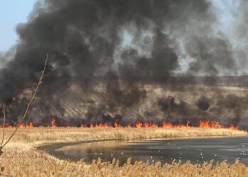 Incendiu de vegetație lângă Vatra: Pompierii luptă cu flăcările