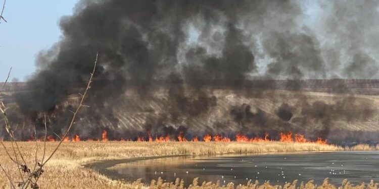 Incendiu de vegetație lângă Vatra: Pompierii luptă cu flăcările