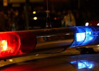 Un bărbat din Cricova a căzut dintr-un copac și a murit străpuns de un gard