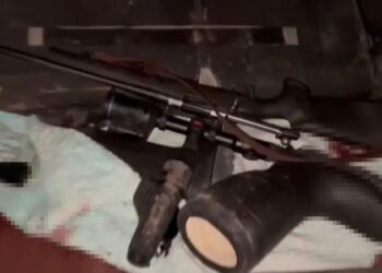 Braconaj în „Plaiul Fagului”: Mai mulți angajați ai Rezervației naturale reținuți în flagrant