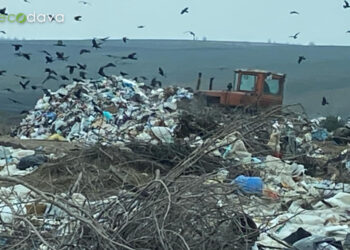 Gunoiștile din apropierea satului Chirsova și Comrat pun în pericol sănătatea locuitorilor