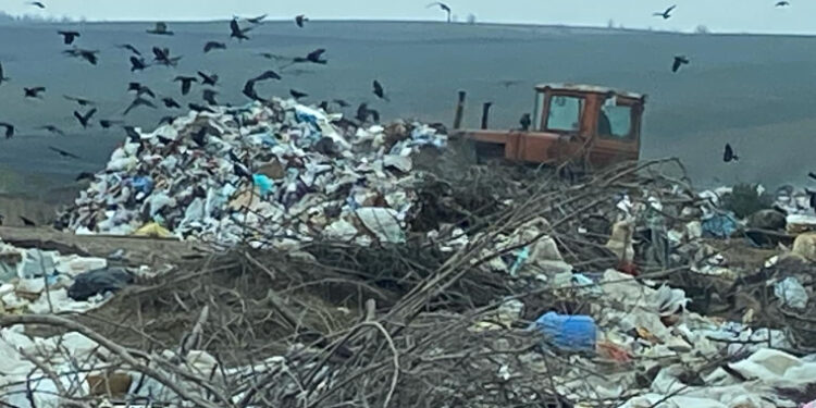Gunoiștile din apropierea satului Chirsova și Comrat pun în pericol sănătatea locuitorilor