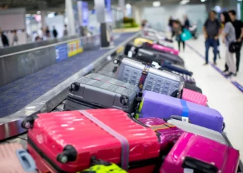 Descoperire șocantă în bagajul unui elvețian venit din Thailanda: un cap de crocodil, pastile pentru potență și obiecte interzise