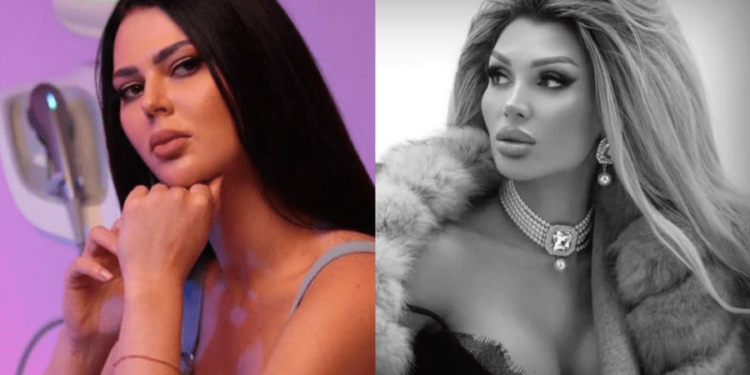 Sistem digitalizat unic pentru evidența infracțiunilor, discutat în Parlament după cazul Babuțchi