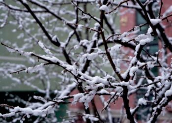 Ninsoare și frig la început de weekend