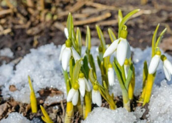 Vreme senină dar rece pe 26 februarie: Maxime de până la 10°C