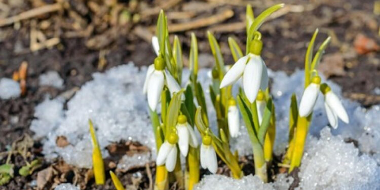 Vreme senină dar rece pe 26 februarie: Maxime de până la 10°C