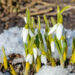 Vreme senină dar rece pe 26 februarie: Maxime de până la 10°C