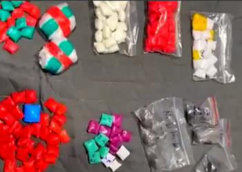 Trafic de droguri în valoare de aproape jumătate de milion de lei, destructurat de poliție