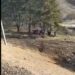Patru victime într-un accident pe drumul R-34, lângă Mereșeni