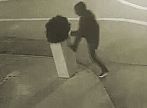 Un tânăr a doborât un ghiveci și a încercat să-l ridice