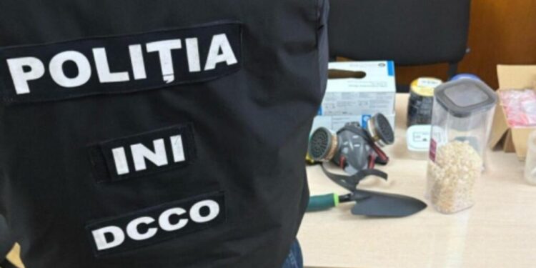 Grup infracțional descoperit în Chișinău: droguri vândute prin „Telegram”