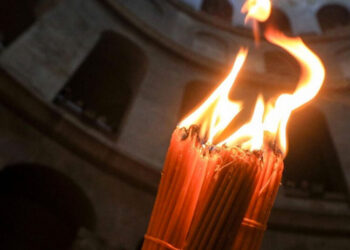 Focul Haric va ajunge și în acest an în Republica Moldova