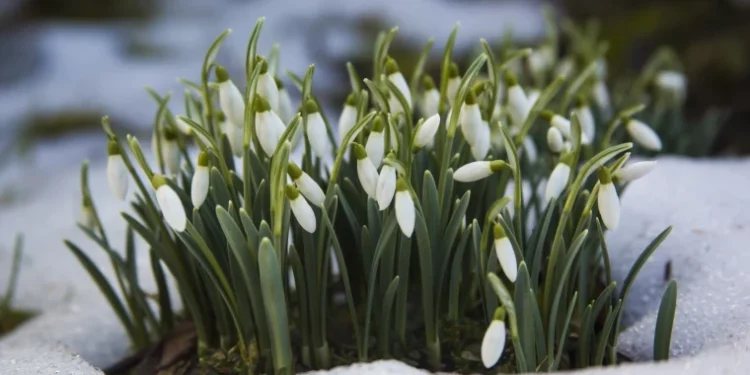 Prognoza meteo pentru 1 martie
