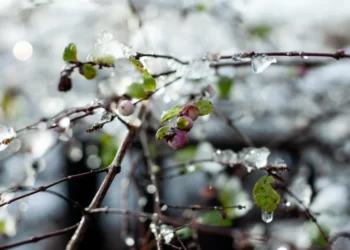 Vreme noroasă și lapoviță pe drumuri: prognoza zilei