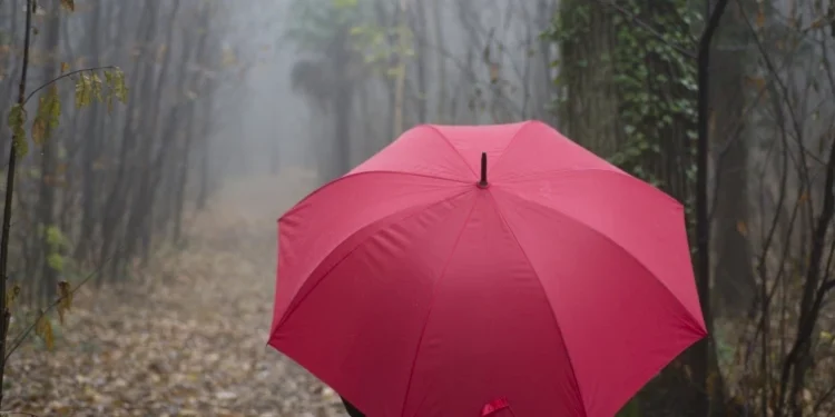 Schimbare bruscă de temperatură în Moldova: Ploi și frig în toată țara