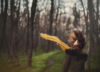 Cod Galben de vânt puternic în Moldova: rafale de până la 20 m/s