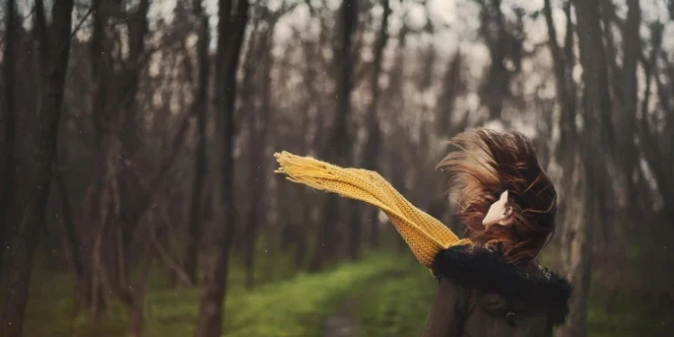 Cod Galben de vânt puternic în Moldova: rafale de până la 20 m/s