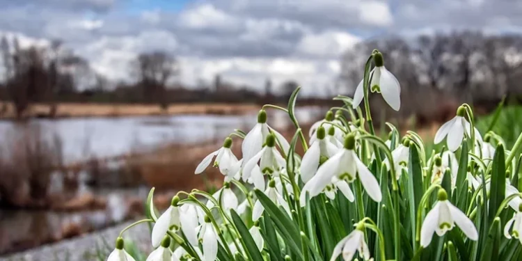 Fără precipitații semnificative: temperaturi între -6°C și +11°C