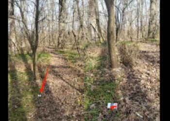 Droguri vândute pe Telegram: Patru persoane reținute la Drochia