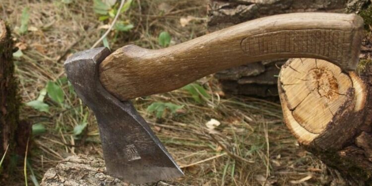 Bărbat condamnat la închisoare cu suspendare după un atac violent la Cernița