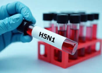 Oamenii de știință avertizează asupra mutației virusului H5N1: Continuă să arate noi trucuri