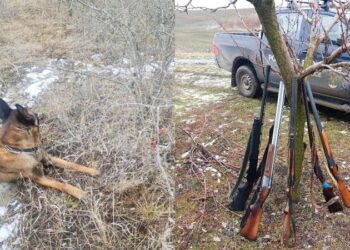 Au mers la vânat la frontieră, iar când au observat polițiștii, au aruncat cărtușele: Opt braconieri, prinși în zona interzisă „Troițcoe”