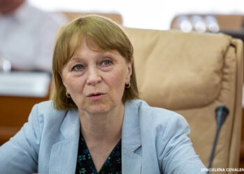 Ala Nemerenco recunoaște: Nicio clinică din țară care practică fertilizare in vitro nu deține autorizație de la Agenția de Transplant