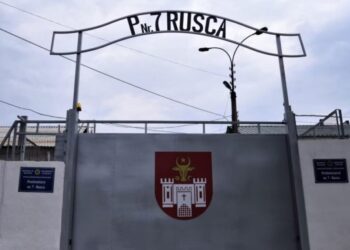 Femeie din Anenii Noi, condamnată la 16 ani pentru omor cu cruzime