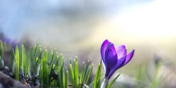 Vreme caldă astăzi, cu 20°C în timpul după-amiezii