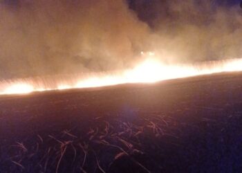 Incendiu de vegetație în sudul Moldovei: Pompierii din Cahul au stins flăcările