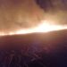 Incendiu de vegetație în sudul Moldovei: Pompierii din Cahul au stins flăcările