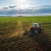 Noi prevederi ale Codului Funciar: Terenurile agricole nelucrate vor putea fi date în arendă