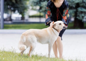 Acces doar pentru cei galbeni. Înca unui media i s-a refuzat acreditarea la Președinție